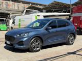 FORD Kuga 2.5 Full Hybrid 190 CV CVT 2WD ST-Line TETTO PANO