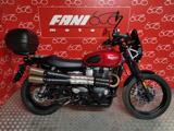 TRIUMPH Scrambler 900
