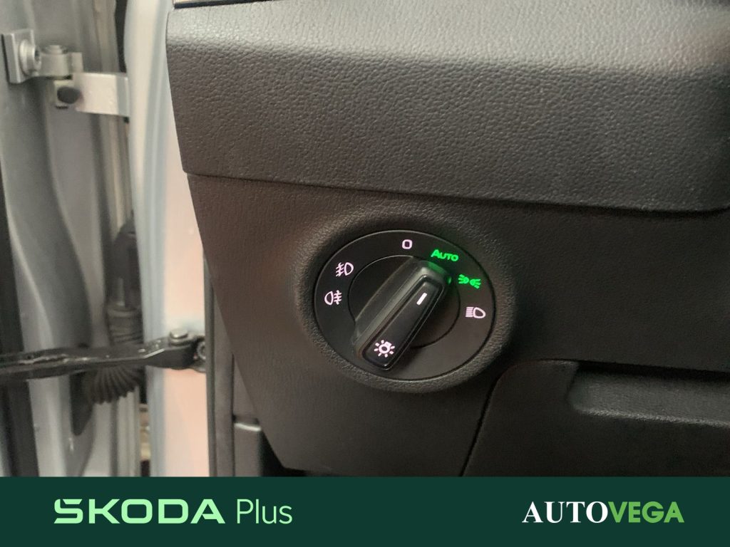 immagine usato SKODA Karoq 2.0 tdi evo executive 115cv dsg