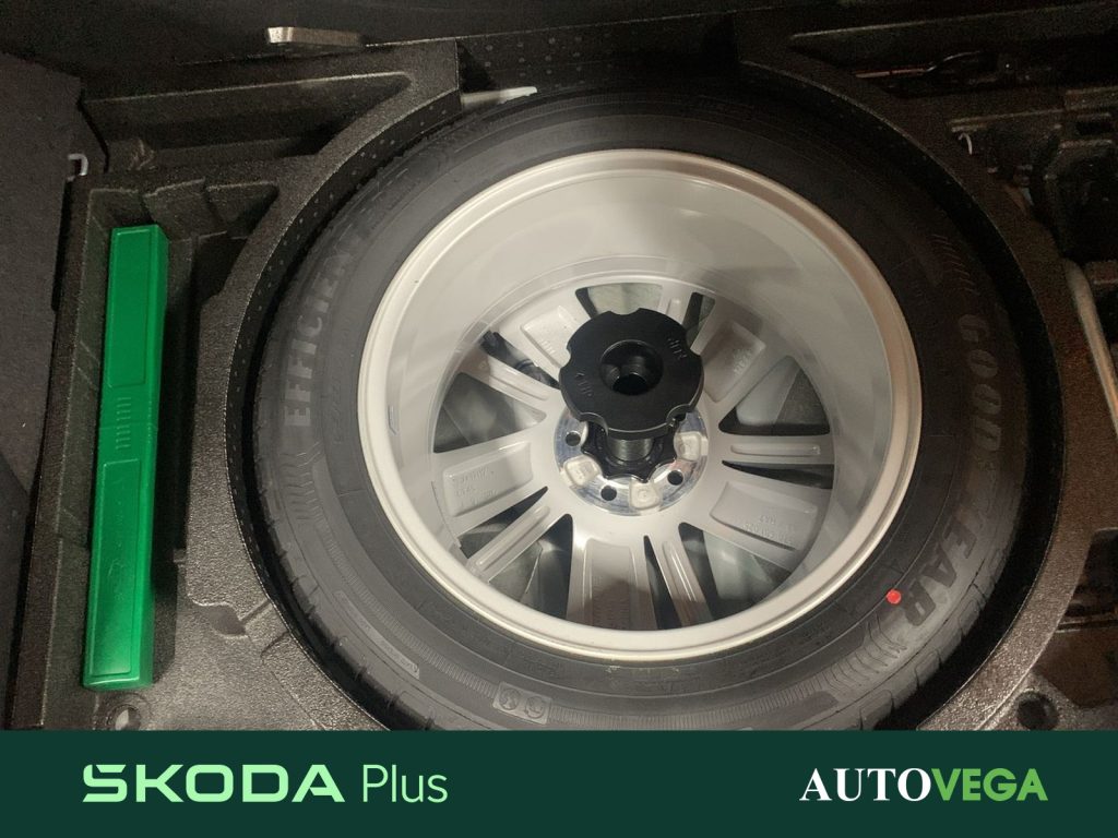 immagine usato SKODA Karoq 2.0 tdi evo executive 115cv dsg