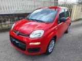 FIAT Panda 1.2 Easy *69 cv * 4 cilindri
