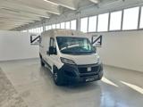 FIAT Ducato 35 2.2 MJT 140CV PM-TM FURGONE