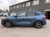 FORD Kuga 1.5 EcoBlue 120 CV 2WD ST-Line