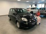 FIAT Panda 1.0 Benzina Hybrid City Life