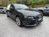 AUDI A4 Avant 2.0 TDI 143CV F.AP. multitronic Advanced