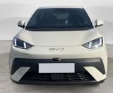 BYD Dolphin SURF ACTIVE 88Ccv Batteria 30kwh