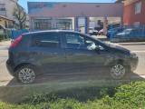 FIAT Punto 1.4 8V 5 porte Easypower LOUNGE