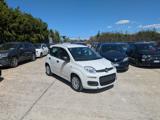 FIAT Panda HYBRID FIREFLY 1.0cc 70cv
