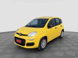 FIAT Panda Pandina 1.0 FireFly 65 CV Hybrid Pop