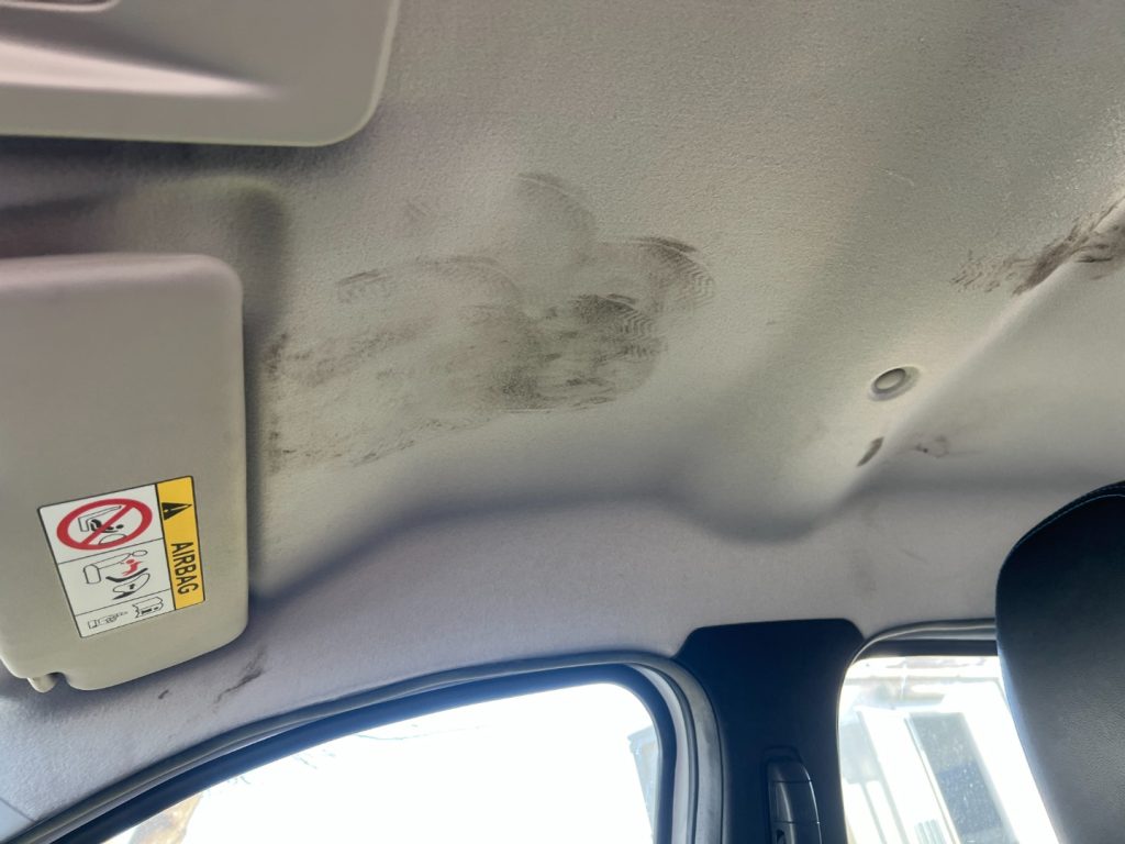 Immagine di DACIA Spring Electric 45 del 12/2021 km 26457