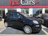 FIAT Pandina 1.0 FireFly 65 CV Hybrid Icon