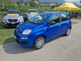 FIAT Pandina 1.0 FireFly 65 CV Hybrid Pop