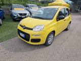 FIAT Pandina 1.0 FireFly 65 CV Hybrid Pop