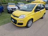 FIAT Pandina 1.0 FireFly 65 CV Hybrid Pop