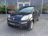 FIAT Pandina 1.0 FireFly 65 CV Hybrid Icon