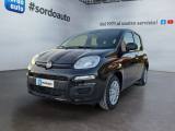 FIAT Pandina 1.0 FireFly 65 CV Hybrid Icon