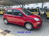 FIAT Panda PROMO FINANZ 1.0 HYBRID 5 POSTI +PACK ICON KM 0