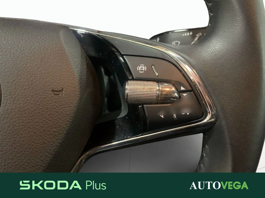 immagine usato SKODA Karoq 2.0 tdi evo executive 115cv dsg