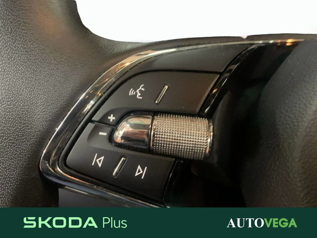 immagine usato SKODA Karoq 2.0 tdi evo executive 115cv dsg