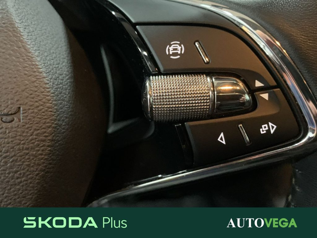 immagine usato SKODA Karoq 2.0 tdi evo executive 115cv dsg