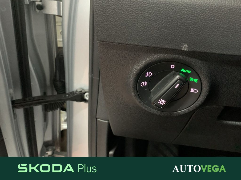 immagine usato SKODA Karoq 2.0 tdi evo executive 115cv dsg