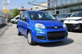 FIAT Panda 1.0 Firefly Hybrid Icon S&S 65cv 5p