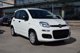 FIAT Panda 1.0 Firefly Hybrid Icon S&S 65cv 5p *Ruotino*