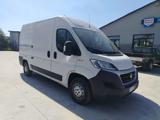 FIAT DUCATO   2.3 MJT 130 CV