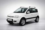 FIAT Panda 1.3 MJT 16V DPF 4x4 Climbing
