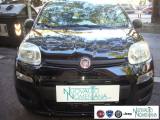 FIAT Panda 1.0 FireFly S&S Hybrid Icon 5°posto KM0