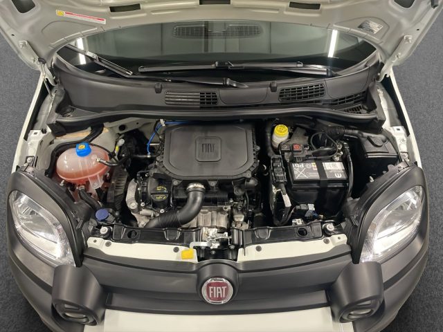 FIAT PANDA 1.0 FIREFLY S&S HYBRID PANDINA - foto 21