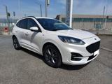 FORD Kuga 1.5 EcoBlue 120 CV automatica ST-Line PREZZO REALE