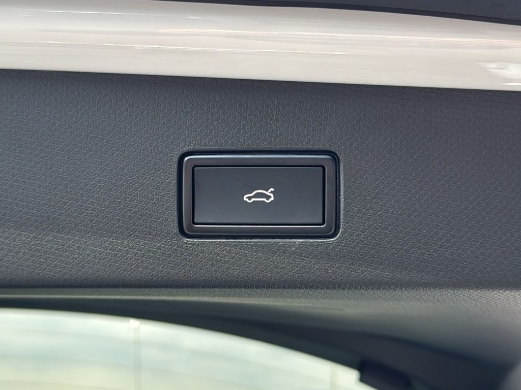 immagine nuovo CUPRA Tavascan 77kwh endurance adrenaline rwd