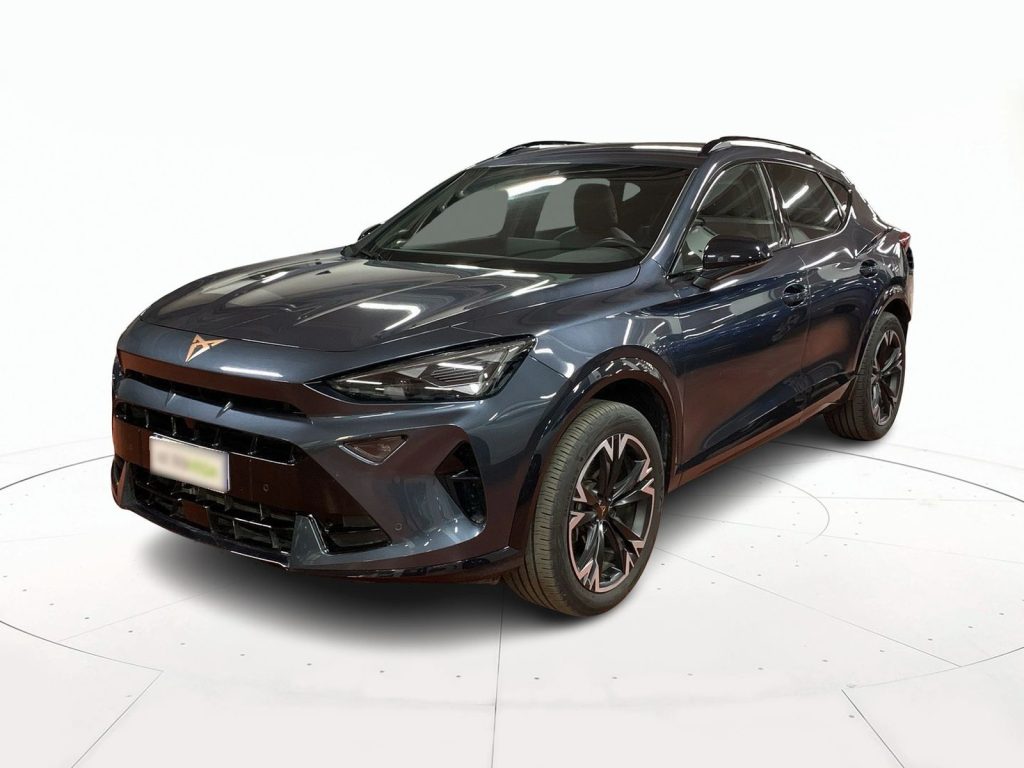 immagine usato CUPRA Formentor 2.0 tdi 150cv dsg