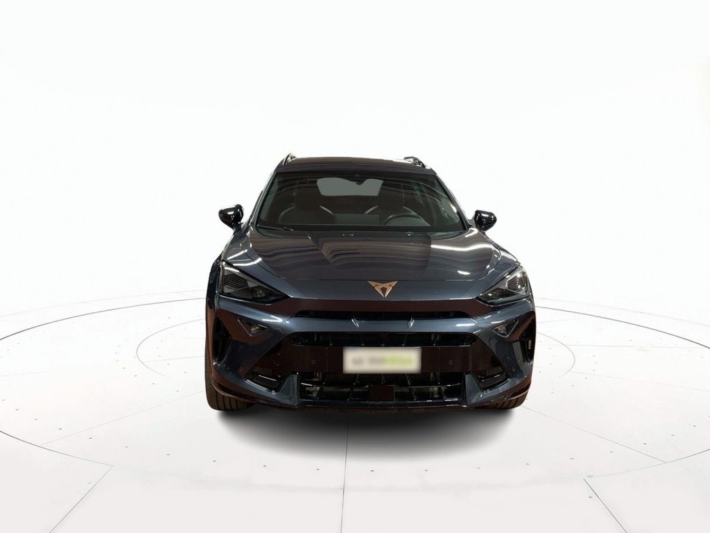 immagine usato CUPRA Formentor 2.0 tdi 150cv dsg