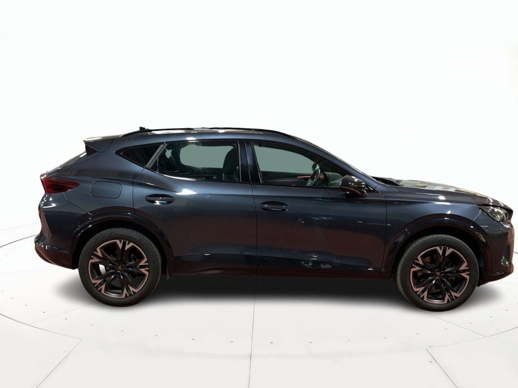 immagine usato CUPRA Formentor 2.0 tdi 150cv dsg