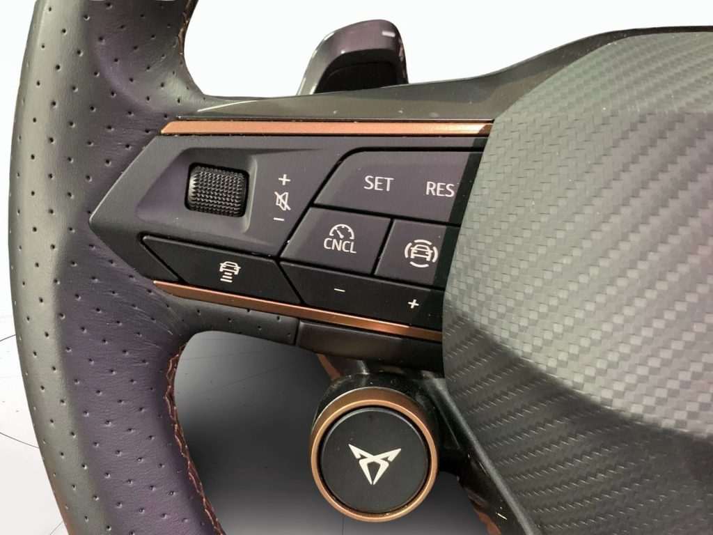 immagine usato CUPRA Formentor 2.0 tdi 150cv dsg