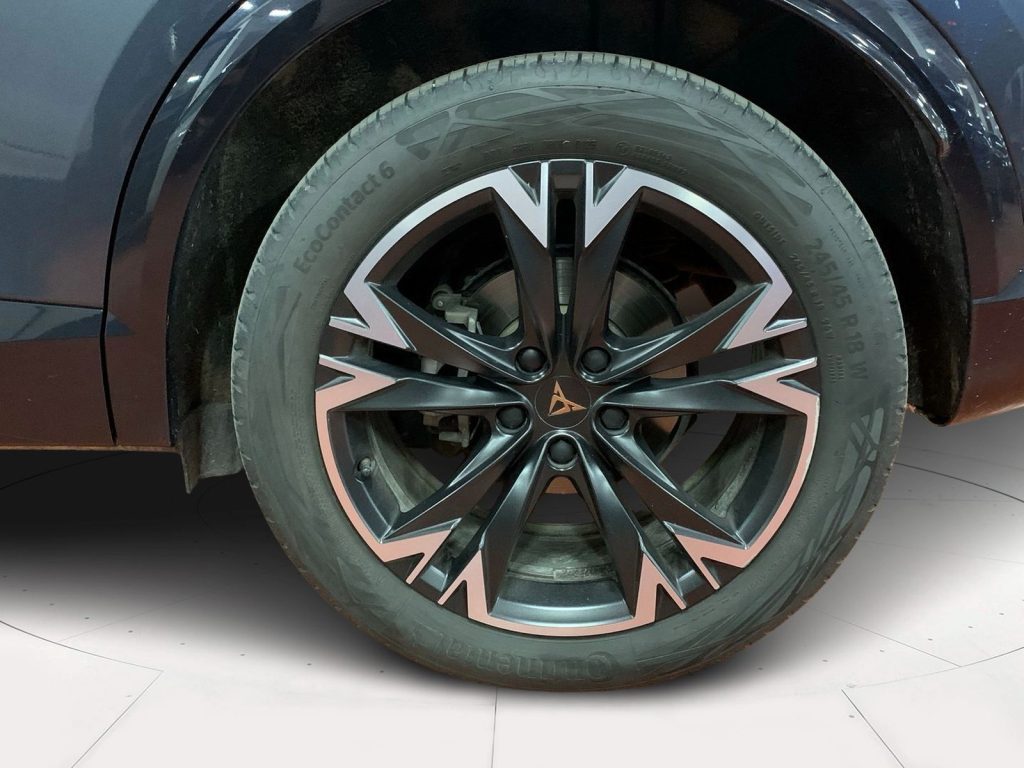 immagine usato CUPRA Formentor 2.0 tdi 150cv dsg