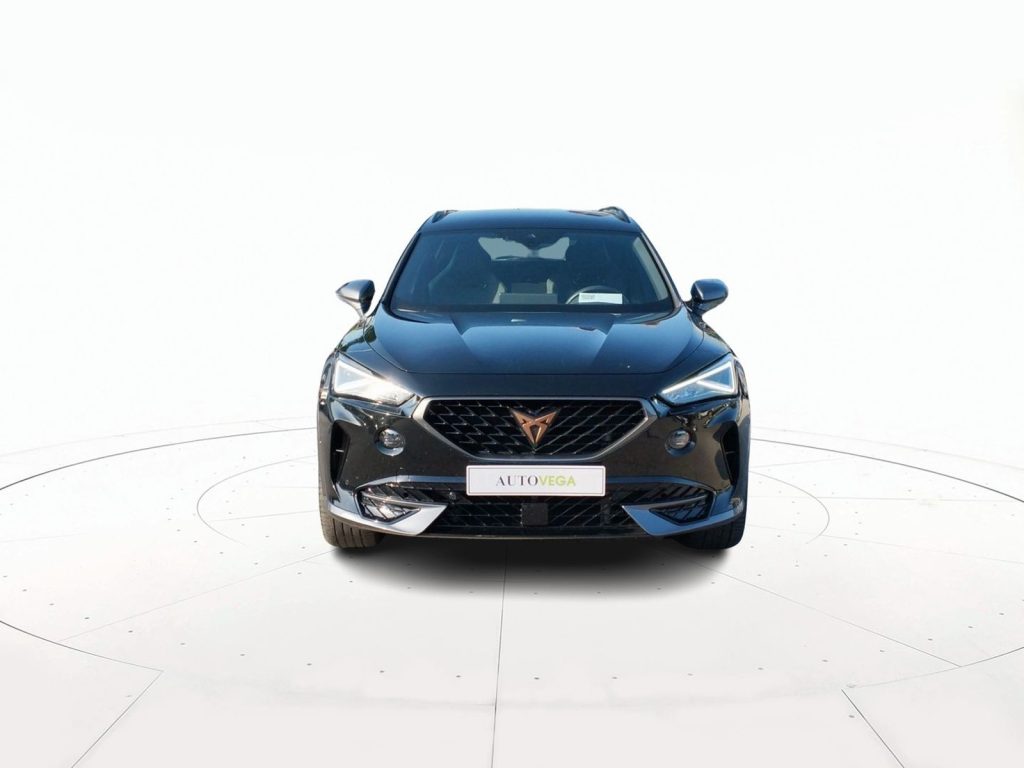 immagine usato CUPRA Formentor 1.5 tsi 150cv dsg