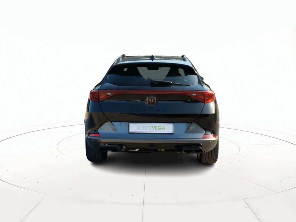 immagine usato CUPRA Formentor 1.5 tsi 150cv dsg