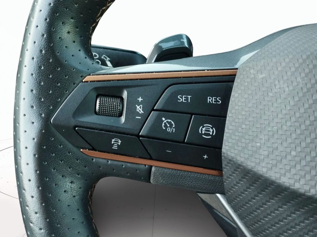 immagine usato CUPRA Formentor 1.5 tsi 150cv dsg