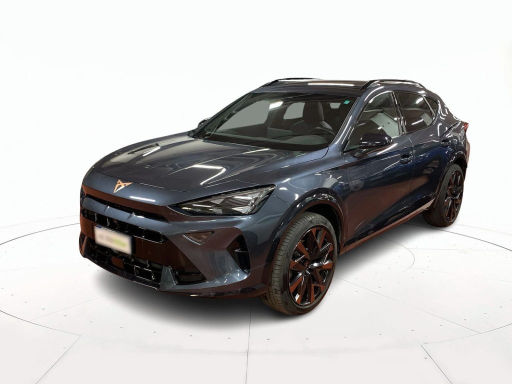 immagine usato CUPRA Formentor 2.0 tdi 150cv dsg