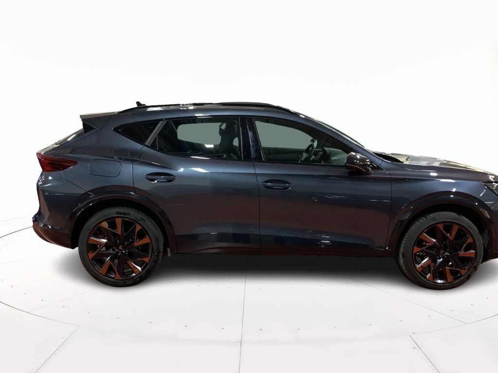 immagine usato CUPRA Formentor 2.0 tdi 150cv dsg