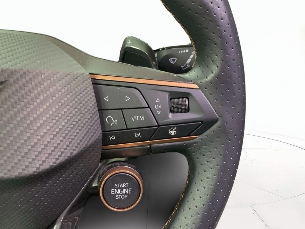 immagine usato CUPRA Formentor 2.0 tdi 150cv dsg