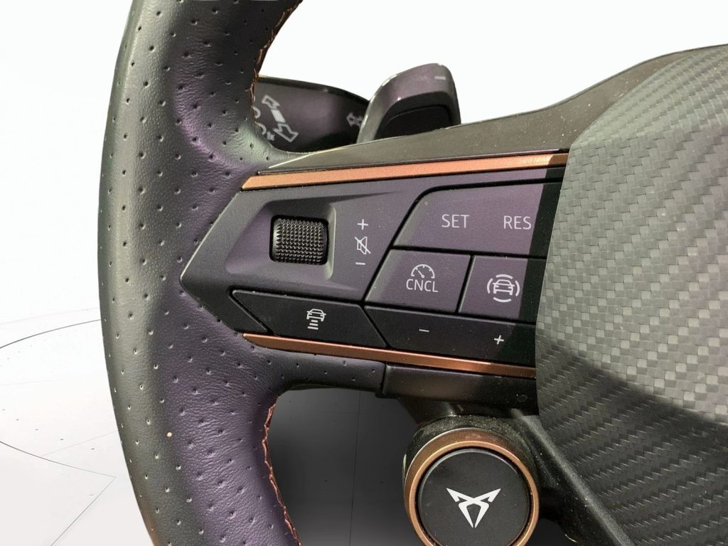 immagine usato CUPRA Formentor 2.0 tdi 150cv dsg