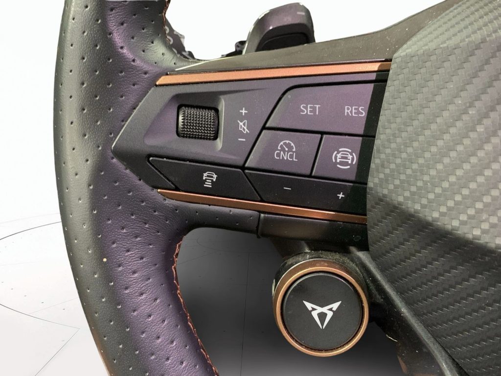 immagine usato CUPRA Formentor 2.0 tdi 150cv dsg