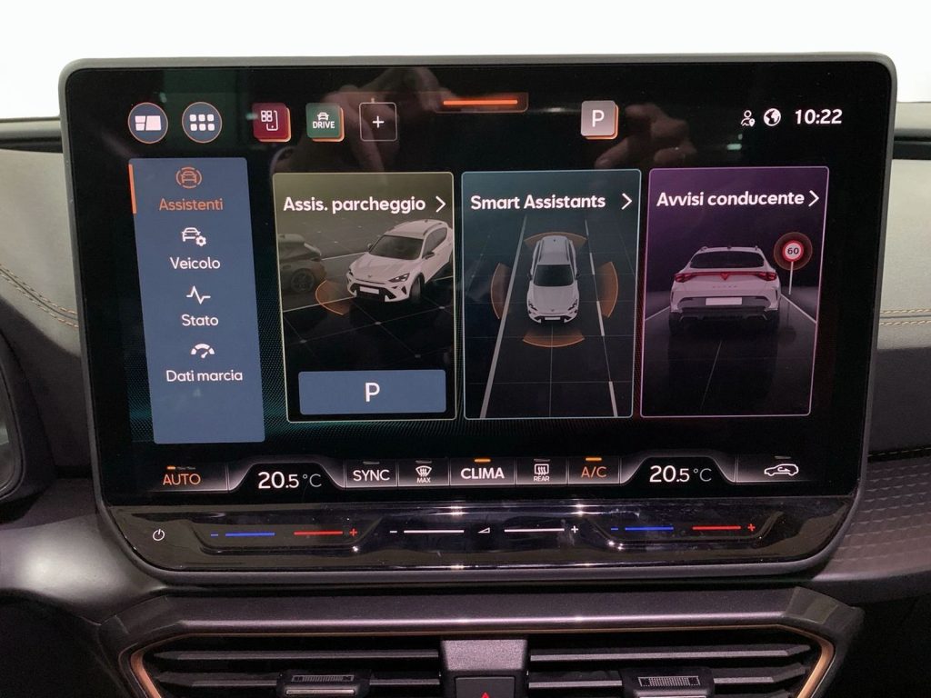 immagine usato CUPRA Formentor 2.0 tdi 150cv dsg