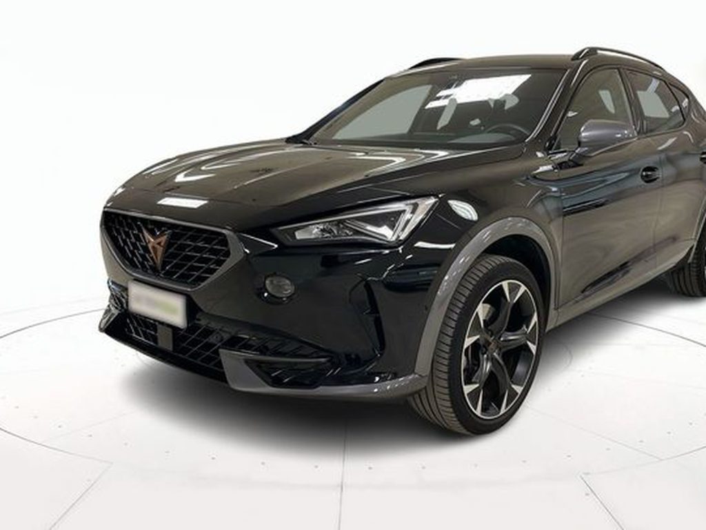 immagine usato CUPRA Formentor 1.5 tsi 150cv dsg