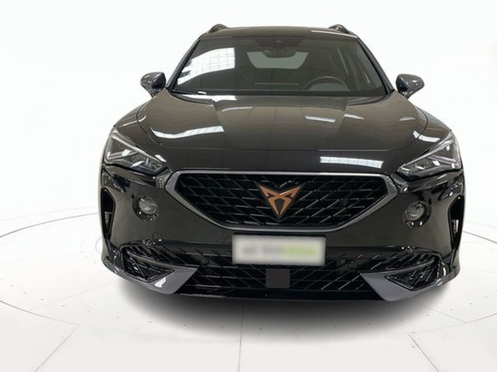 immagine usato CUPRA Formentor 1.5 tsi 150cv dsg