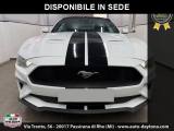 FORD Mustang Fastback 2.3 EcoBoost Automatica Full
